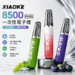 梟客 XIAOKE 8500口 口紅款 拋棄式電子煙｜20種口味 8.5ml MESH網狀芯 氣流可調｜xiaoke商品資訊